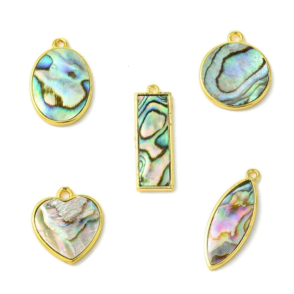 9757 5 pcs 5 Styles Geometric Theme Natural Paua Shell Charms Oval